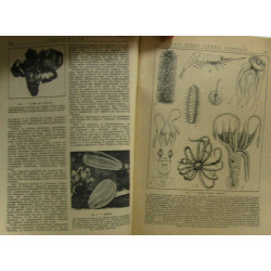 La science et la vie n°348 tome LXX- novembre 1946