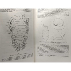Les bopyridae des mers européennes --- Mémoires du Muséum National...