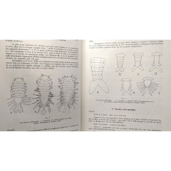 Les bopyridae des mers européennes --- Mémoires du Muséum National...