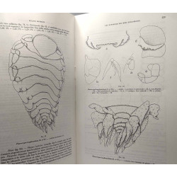 Les bopyridae des mers européennes --- Mémoires du Muséum National...