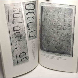 Les inscriptions funéraires découvertes par Abraham Firkowicz....