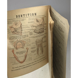 Dictionnaire encyclopédique de médecine pratique et d'hygiène...