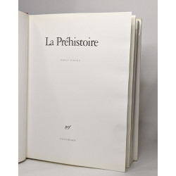 La préhistoire