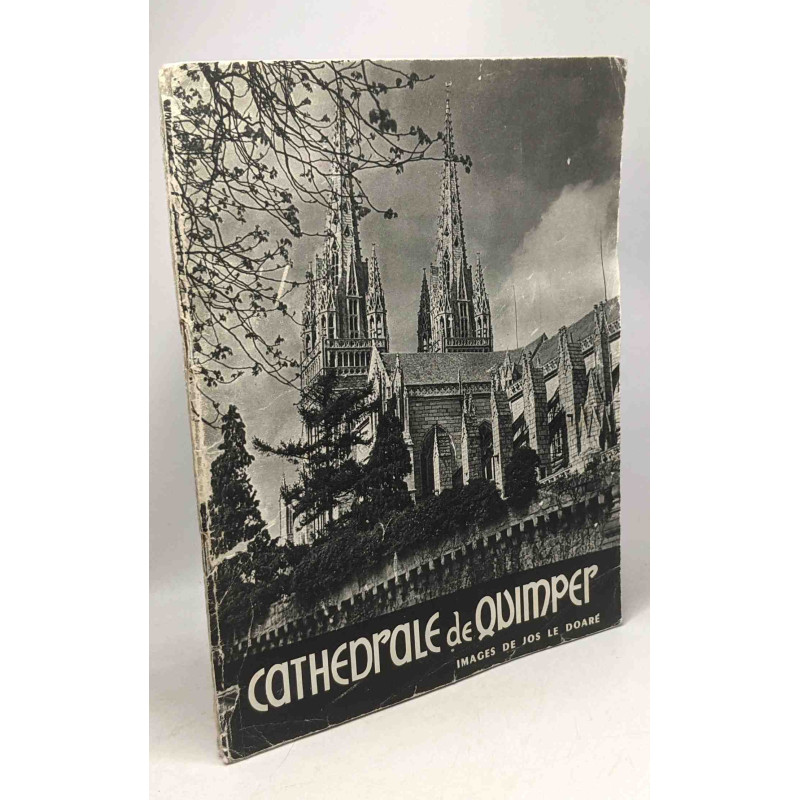 Cathédrale de Quimper - images de Jos le Doaré