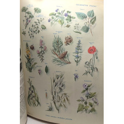 Nouveau Larousse Médical illustré - édition entièrement refondue...