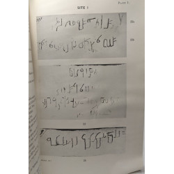 Nabataean Inscriptions from Egypt (EXTRAIT reprint from the BSOAS...