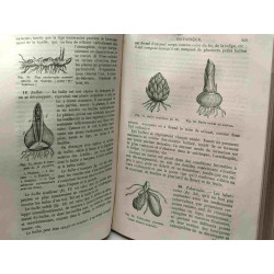Histoire naturelle - cours élémentaire d'études scientifiques ---...
