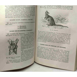 Histoire naturelle - cours élémentaire d'études scientifiques ---...
