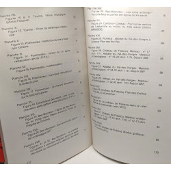 L'archéologie en Hainaut occidental 1973-1978 - de la Préhistoire...