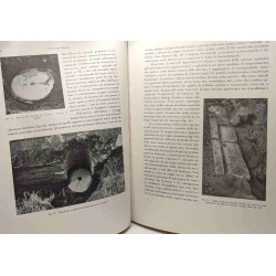 Ricerche archeologiche nell'isola sacra - Istituto nazionale...