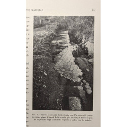 Ricerche archeologiche nell'isola sacra - Istituto nazionale...