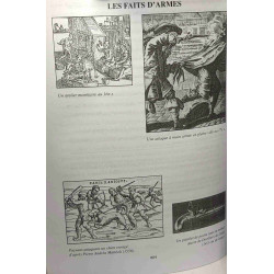 La haute cour de justice de Vise aux XVIIe et XVIIIe siècles (III)...