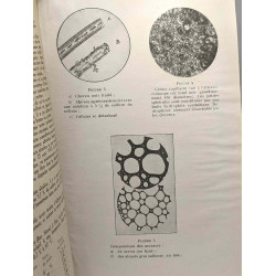 Les traitements capillaires - La parfumerie moderne - fasc....
