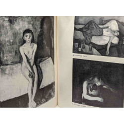 Edvard Munch - 1863-1944 - Musée national d'Art Moderne Paris --...