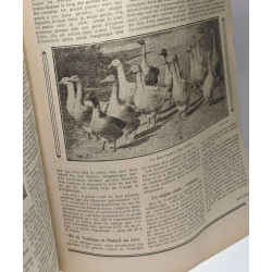 34 numéros de "Le Petit Journal Agricole" Hebdomadaire entre le 28...