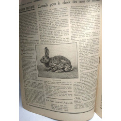 34 numéros de "Le Petit Journal Agricole" Hebdomadaire entre le 28...