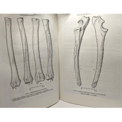 Carnivores quaternaires du Sud-Est de la France --- Mémoires du...