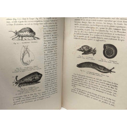 Méthodes de récolte de fixation et de conservation des invertébrés...