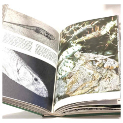 Encyclopédie du monde animal