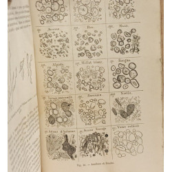 Hygiène des animaux domestiques / Encyclopédie Cadéac