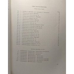Étude sur les phyllopodes du bassin du Congo. Annalen Koninklijk...