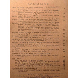 OGAM tradition celtique - histoire langue archéologie religion...