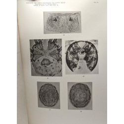 Exploration du Parc National Albert mission H. Damas (1935-1936) -...