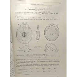 Exploration du Parc National Albert mission H. Damas (1935-1936) -...