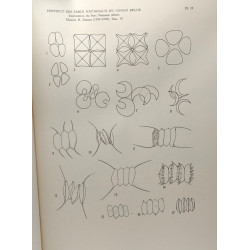 Exploration du Parc National Albert mission H. Damas (1935-1936) -...