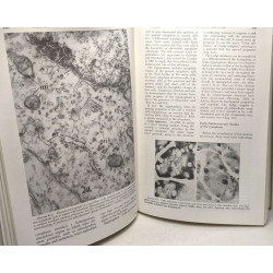 Cell biology - Fourth edition of general cytology
