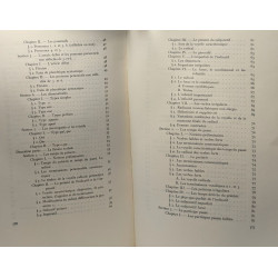 Introduction à la morphologie comparée des langues romanes - TOME...