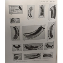 The Hieron TEXT I et 2 + Plates - Samothrace excavations Institute...