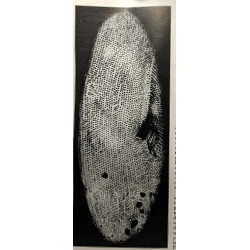 Encyclopédie par l'image - Le monde invisible