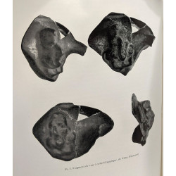 Archaeoloia Belgia 61 - miscellanea archaeologica in honorem