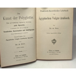 Praktisch-theoretisches lehrbuch ägyptischen vulgar-arabisch
