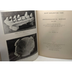 Archaeological report 1908-1909 - comprising the work of the egypt...