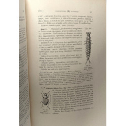 Faune entomologique aromircaine - TOME I 3e partie