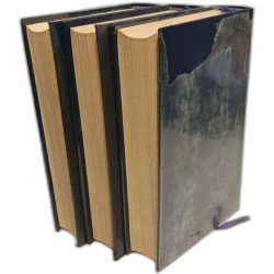 Dictionnaire des littératures en 3 tomes : tome 1 (a-f) + tome 2...