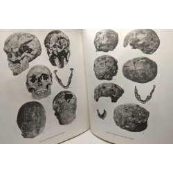 Étude anthropoligue des nécropoles d'Argos - contribution à...