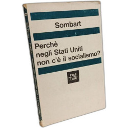 Perchè negli stati uniti non c'è il socialismo