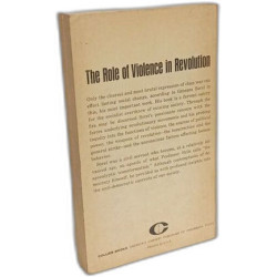 Reflections on violence