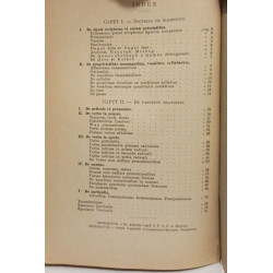 Disciplina linguae hebraicae