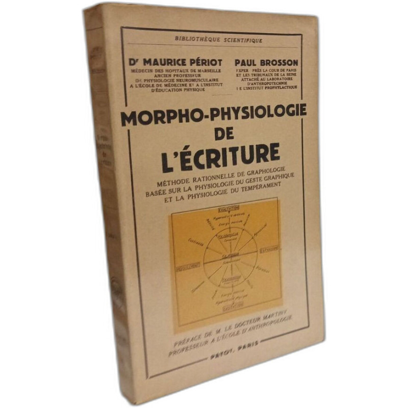 Morpho-physiologie de l'écriture