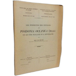 Les épiphytes des feuilles de Posidonia oceanica Delile sur les...