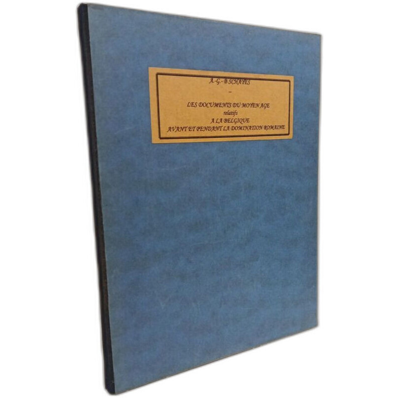 Mémoire sur les documents du Moyen Age relatifs à la Belgique...