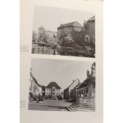 Kunstwerk Stadt: Österreichische Stadt- und Ortsdenkmale
