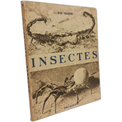 Insectes