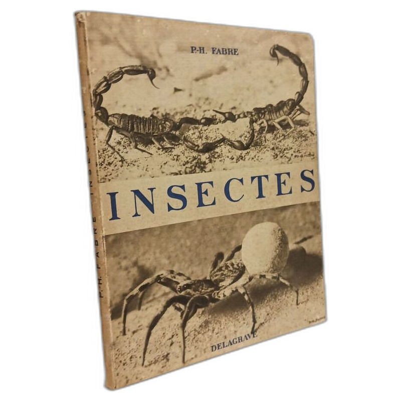 Insectes