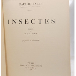 Insectes