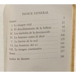 Imagen e idea